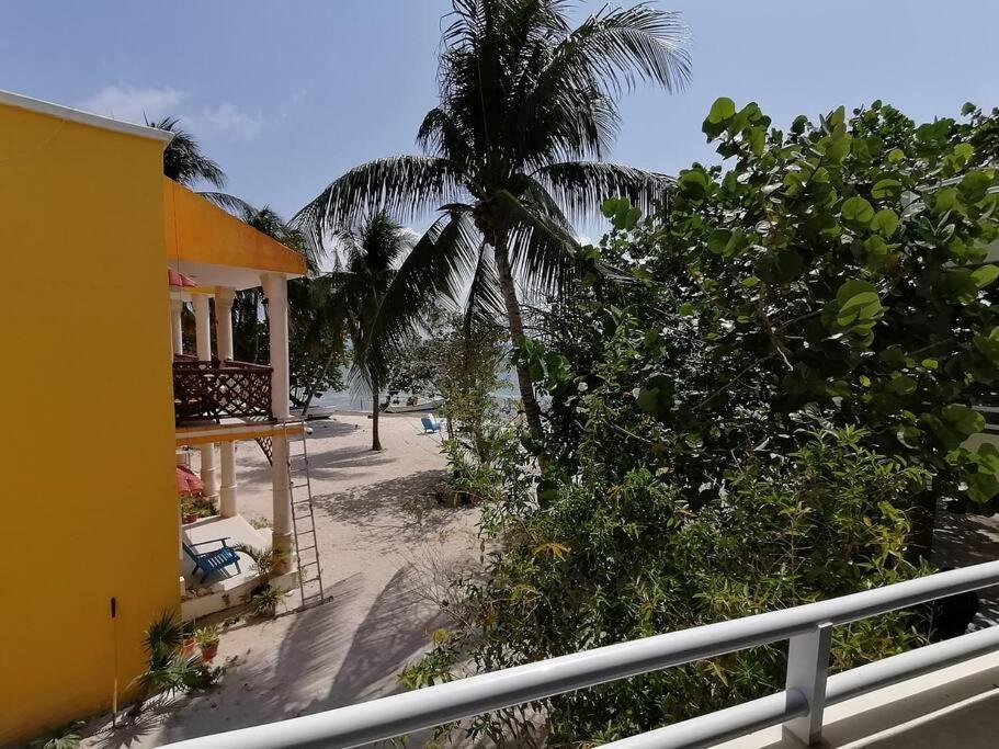 Marysol Great Views Beachfront Next To Nomads D3 Isla Mujeres Bagian luar foto