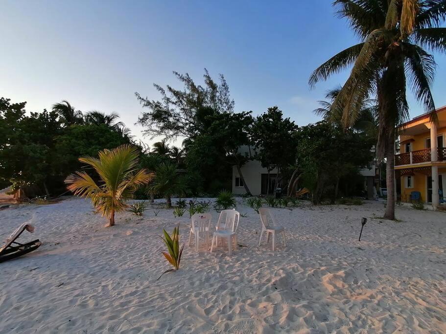 Marysol Great Views Beachfront Next To Nomads D3 Isla Mujeres Bagian luar foto