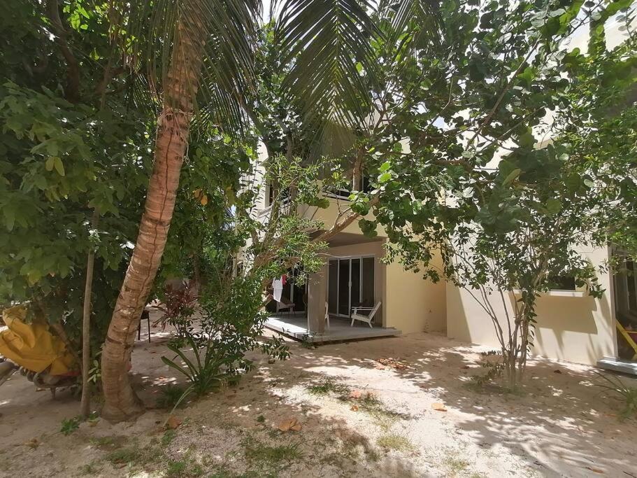 Marysol Great Views Beachfront Next To Nomads D3 Isla Mujeres Bagian luar foto