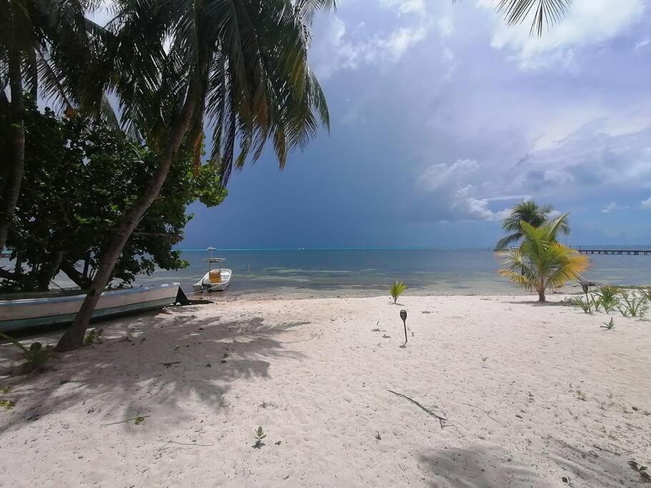Marysol Great Views Beachfront Next To Nomads D3 Isla Mujeres Bagian luar foto