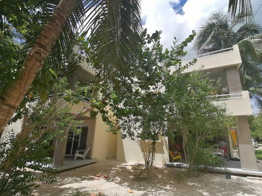 Marysol Great Views Beachfront Next To Nomads D3 Isla Mujeres Bagian luar foto