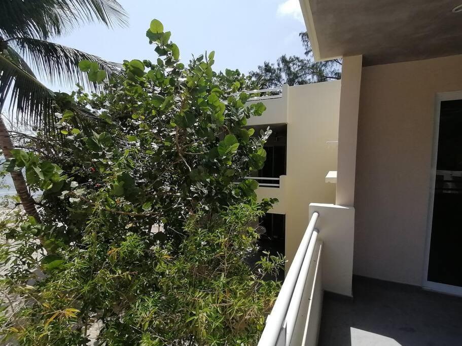 Marysol Great Views Beachfront Next To Nomads D3 Isla Mujeres Bagian luar foto