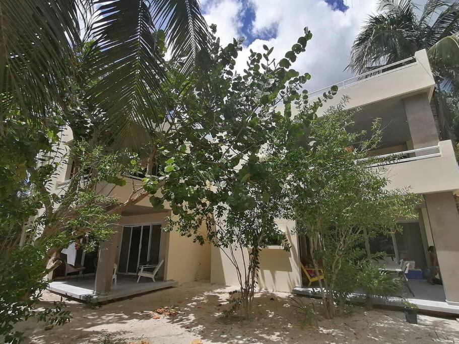Marysol Great Views Beachfront Next To Nomads D3 Isla Mujeres Bagian luar foto