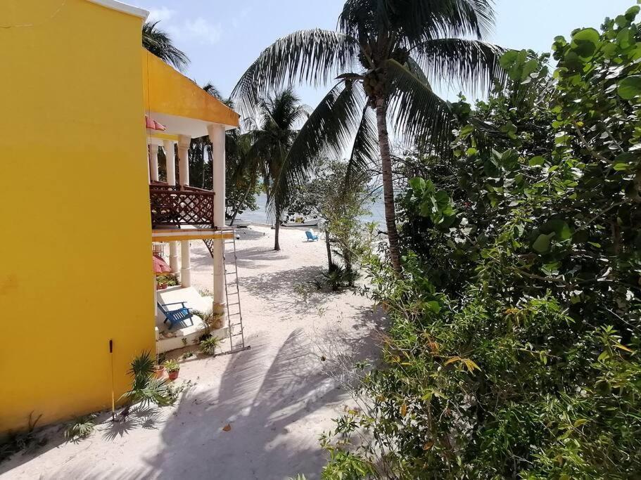 Marysol Great Views Beachfront Next To Nomads D3 Isla Mujeres Bagian luar foto