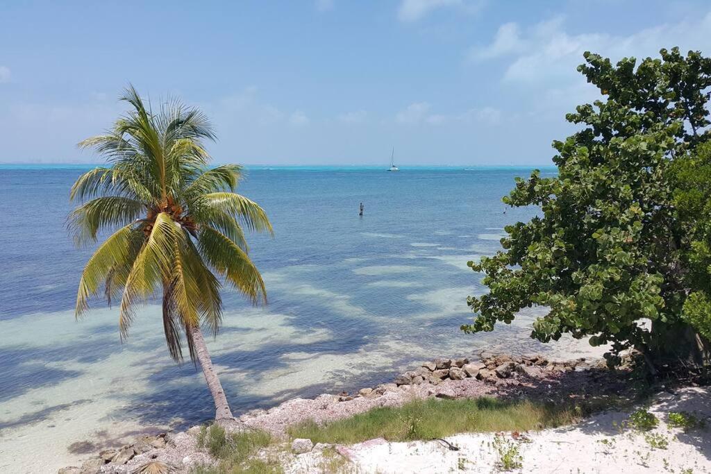 Marysol Great Views Beachfront Next To Nomads D3 Isla Mujeres Bagian luar foto