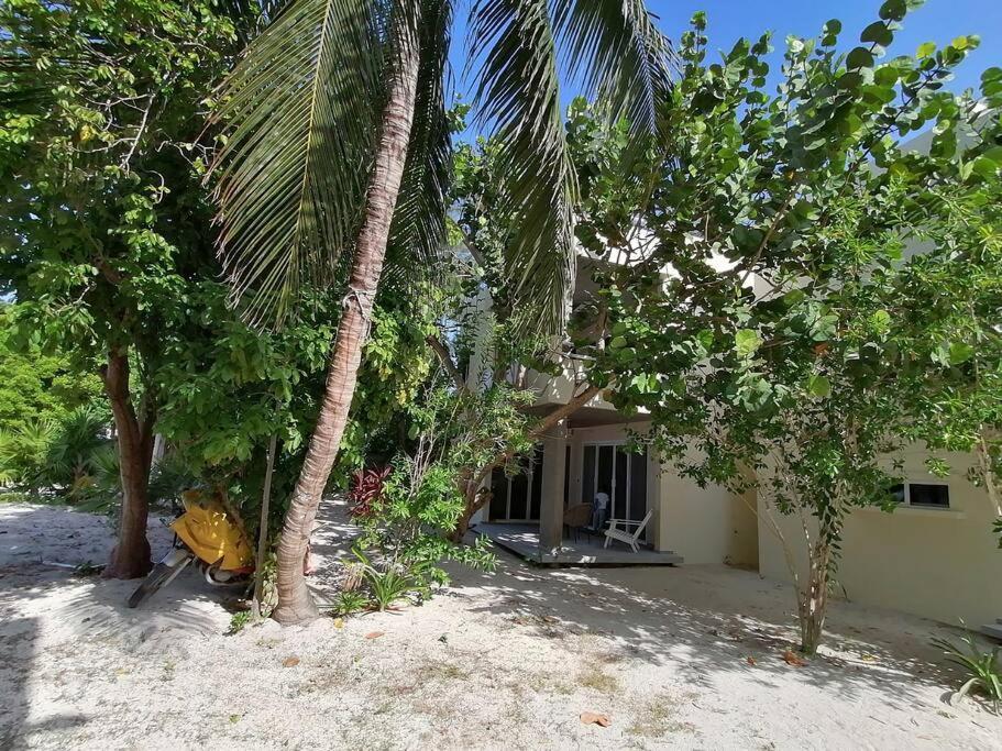 Marysol Great Views Beachfront Next To Nomads D3 Isla Mujeres Bagian luar foto