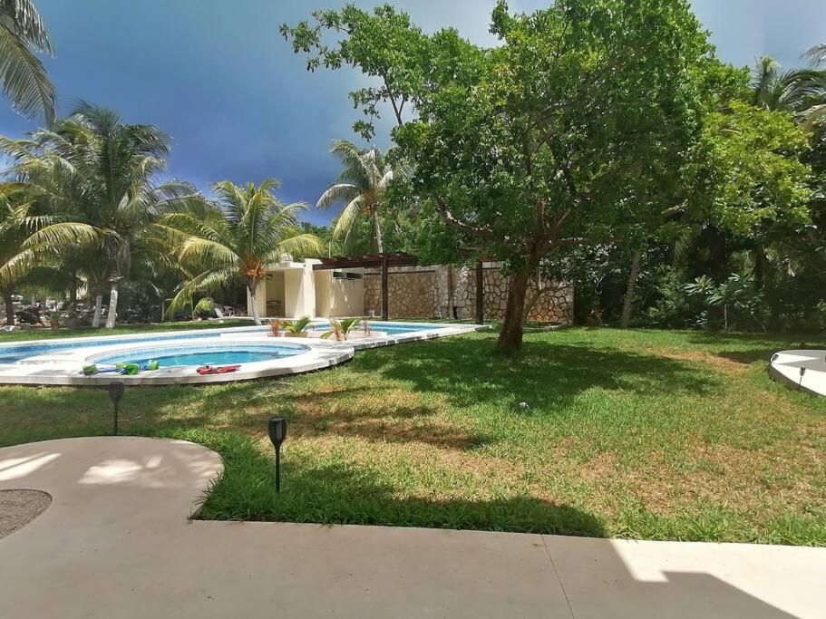 Marysol Great Views Beachfront Next To Nomads D3 Isla Mujeres Bagian luar foto